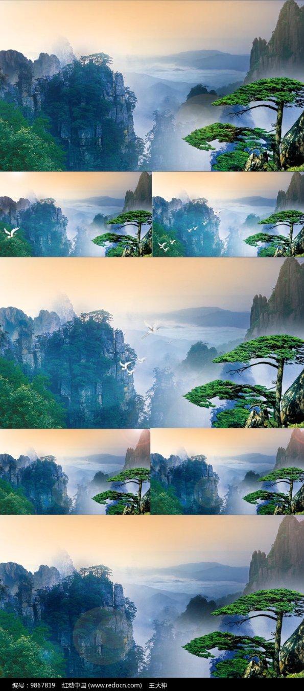 他不爱我怎么办知识星球,专注知识分享与交流